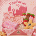 Cat Toy & Essentials Box
