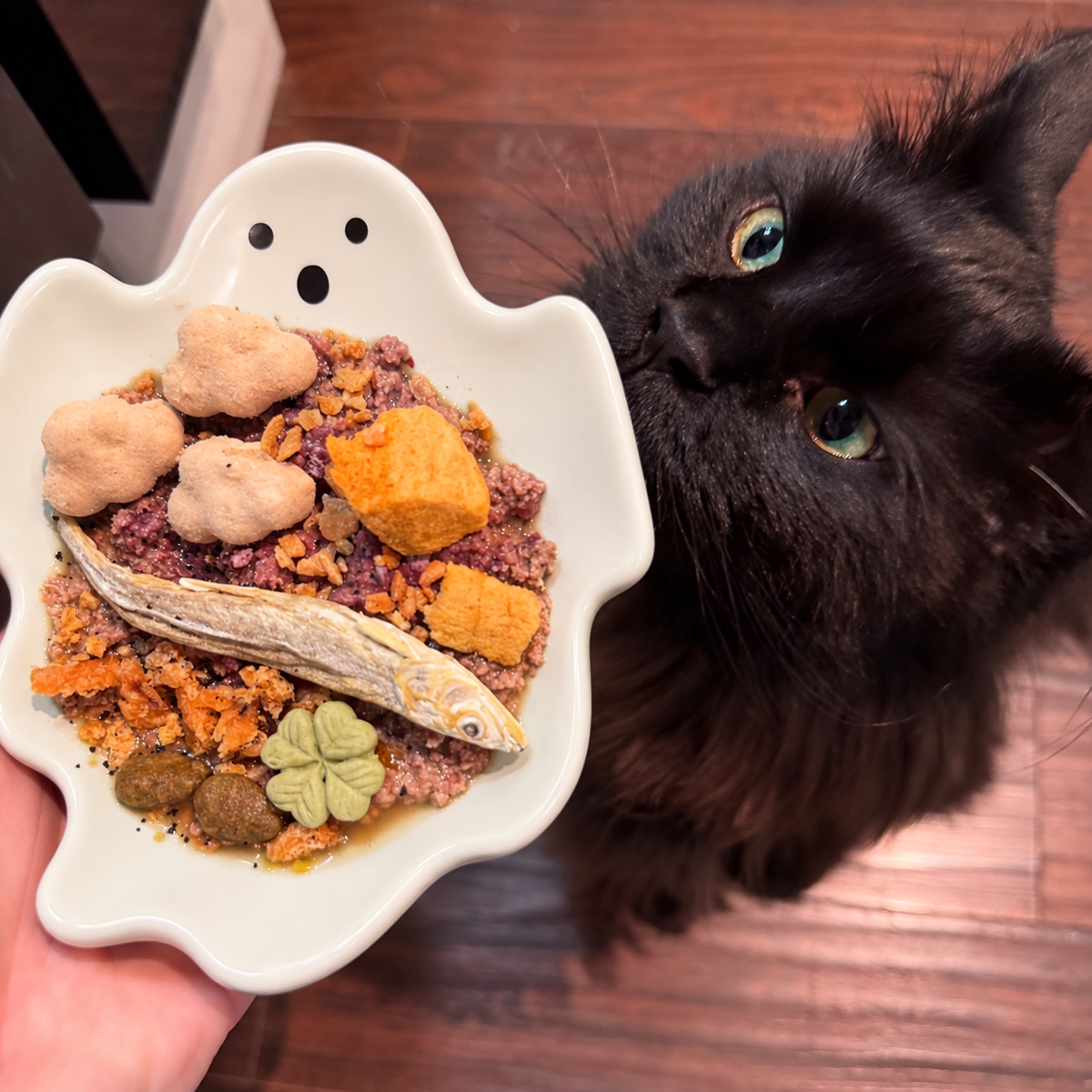 Cat Toy & Essentials Box